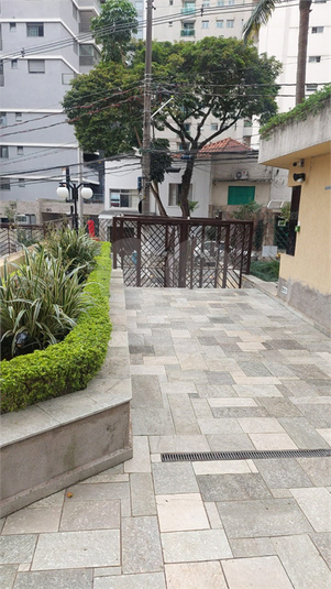 Foto REO1110796