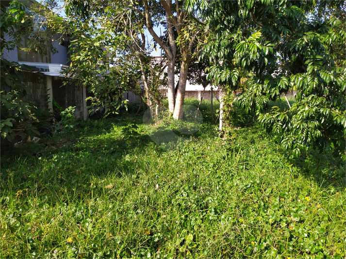 Foto REO1110833