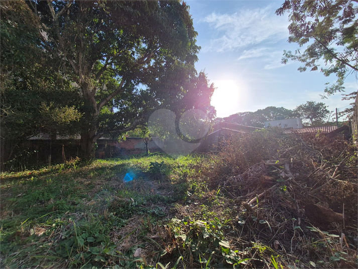 Foto REO1110846