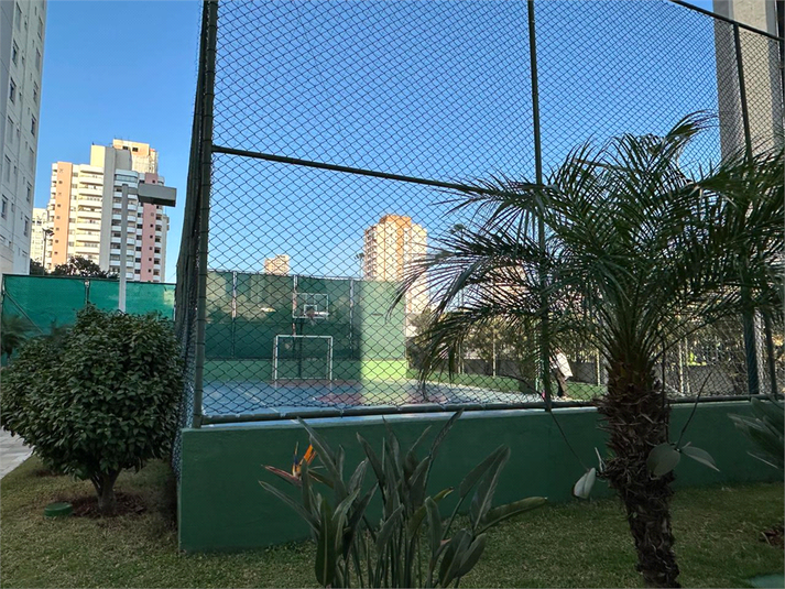 Foto REO1110852