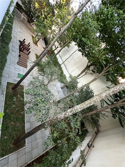 Foto REO1110852