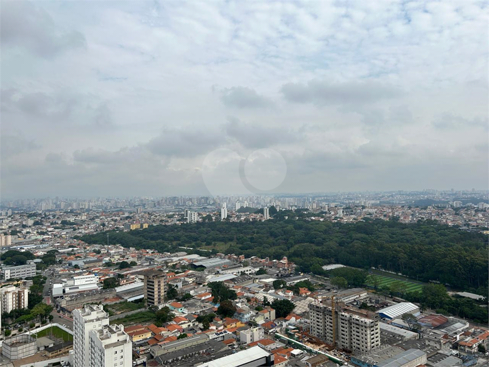 Foto REO1110858
