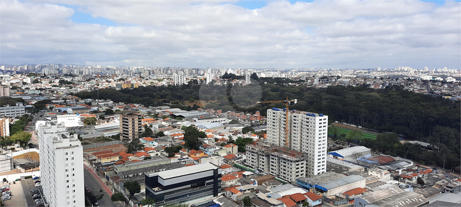 Foto REO1110858