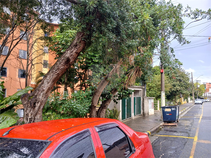 Foto REO1110867