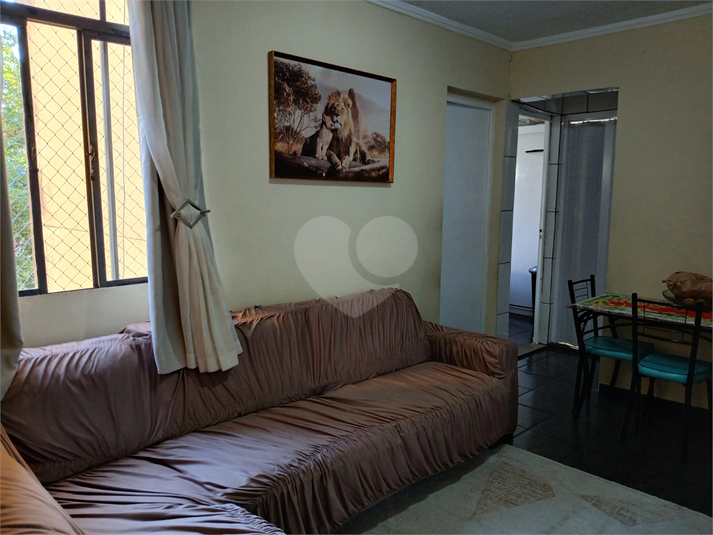 Foto REO1110867