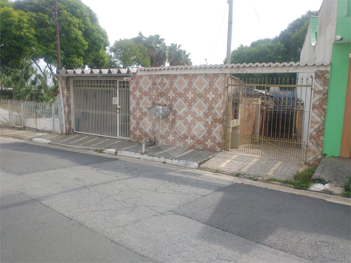 Foto REO1110879