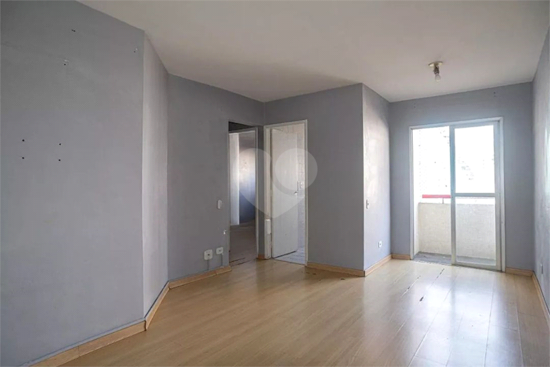 Foto REO1110881
