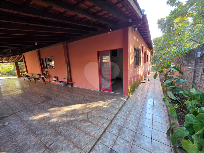 Foto REO1110883