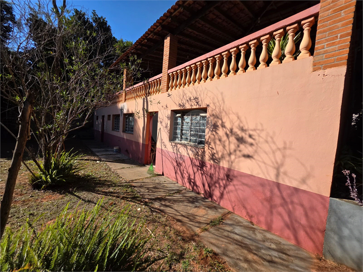 Foto REO1110883