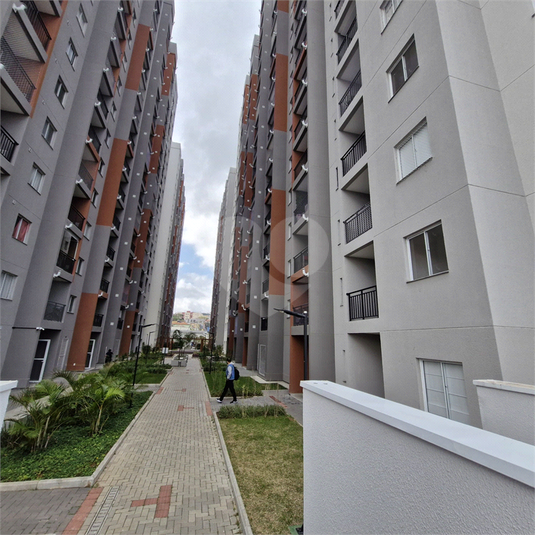 Foto REO1110897
