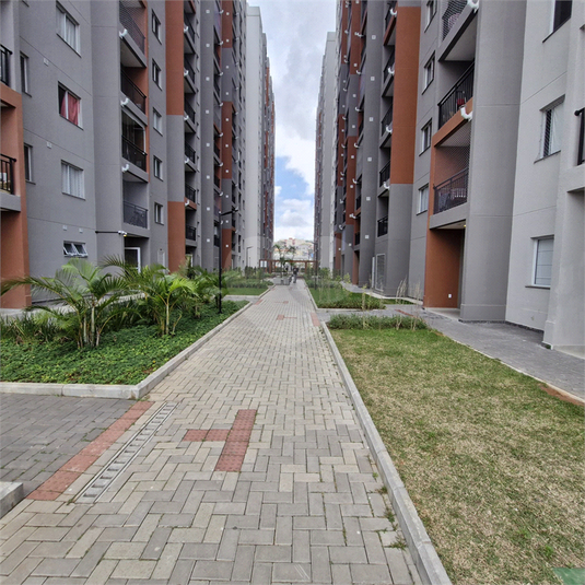 Foto REO1110897