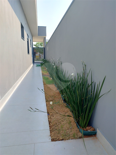 Foto REO1110899