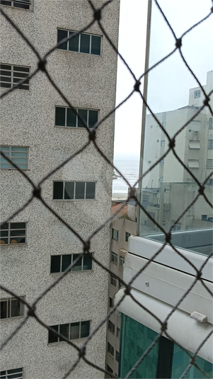 Foto REO1110904