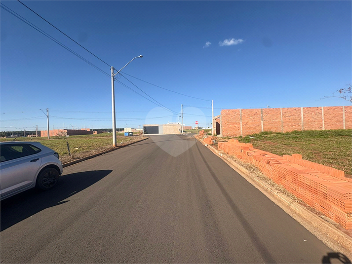 Foto REO1110949