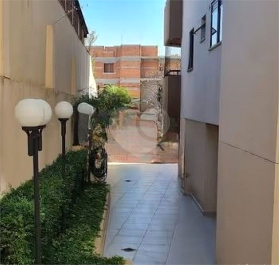 Foto REO1110967