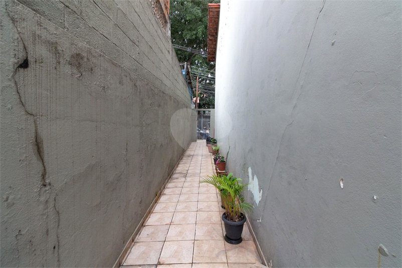 Foto REO1110973