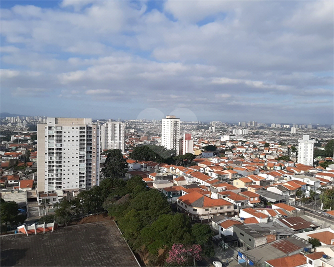 Foto REO1110979