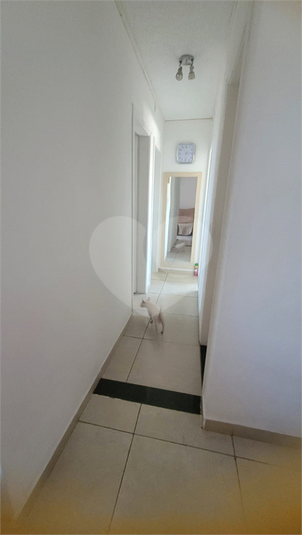 Foto REO1110982