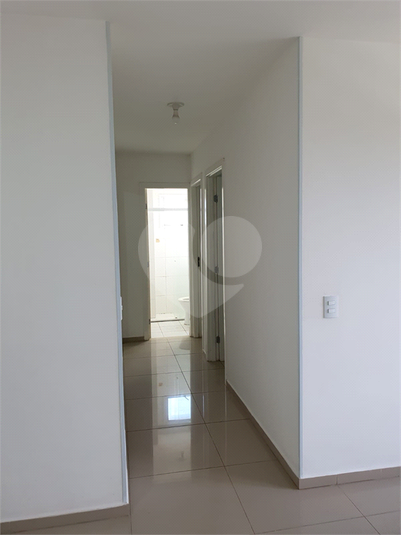 Foto REO1110991