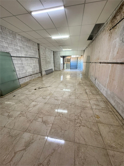 Foto REO1111036