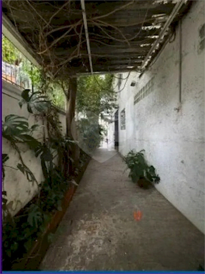 Foto REO1111062