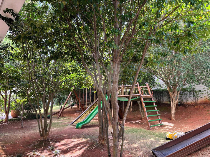 Foto REO1111066