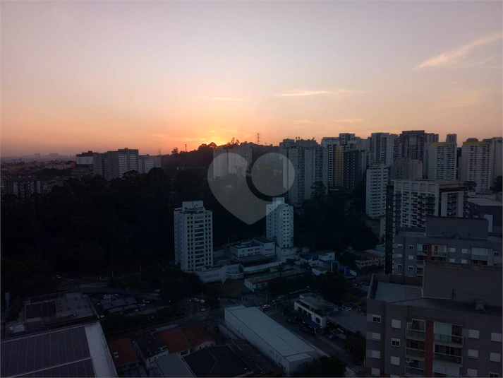 Foto REO1111069