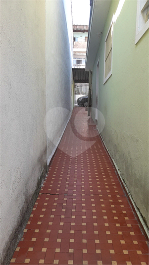 Foto REO1111071