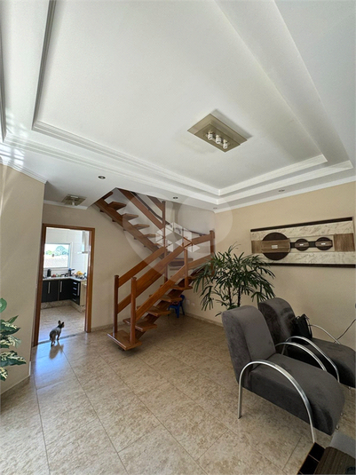 Foto REO1111091