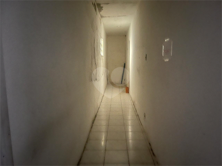 Foto REO1111129