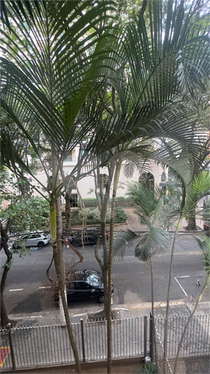 Foto REO1111145