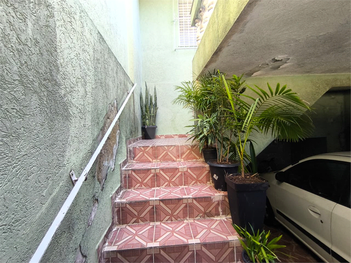 Foto REO1111147