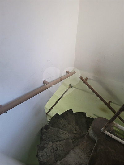 Foto REO1111161