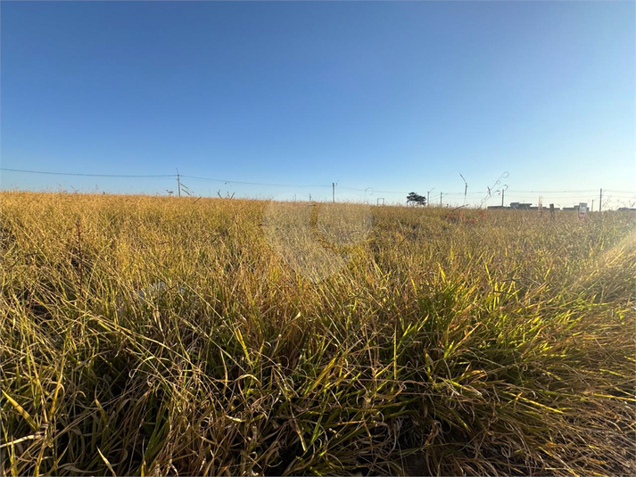 Foto REO1111167