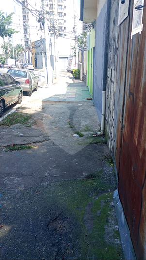 Foto REO1111175