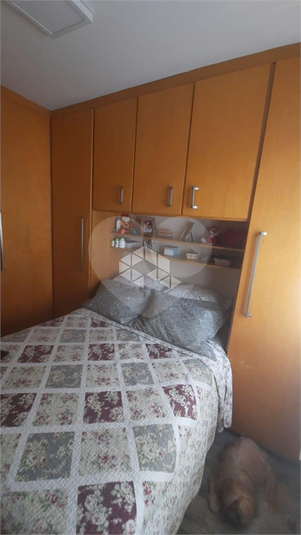 Foto REO1111179