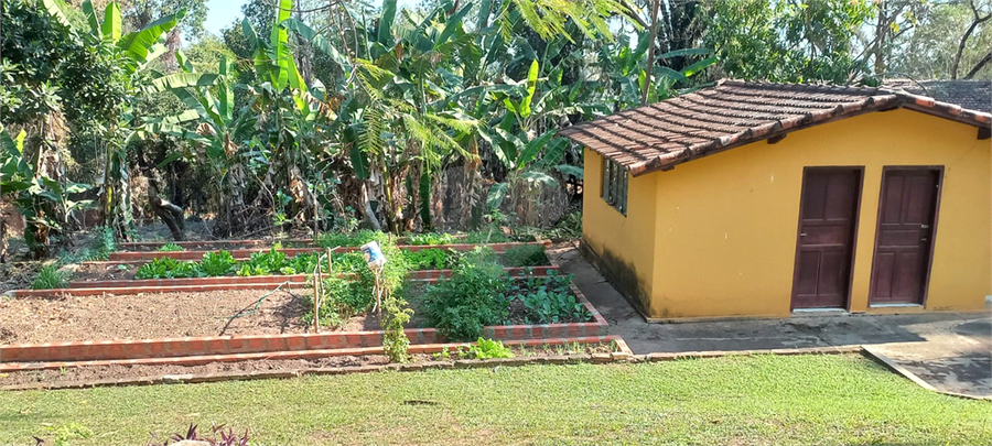 Foto REO1111189