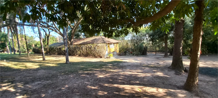 Foto REO1111189
