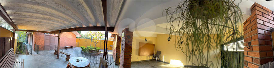 Foto REO1111248