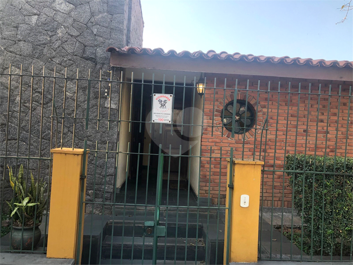 Foto REO1111248