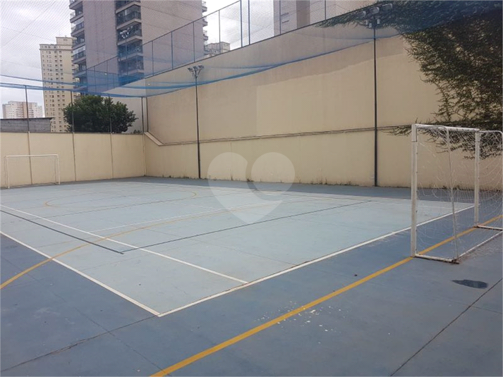 Foto REO1111259