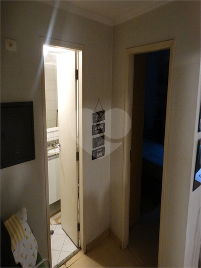 Foto REO1111262