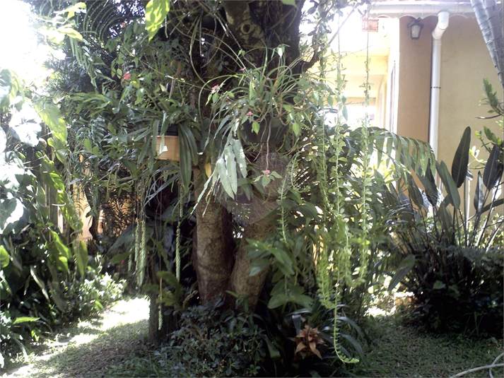 Foto REO1111264