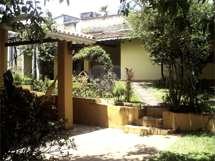 Foto REO1111264