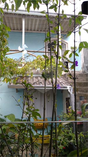 Foto REO1111267