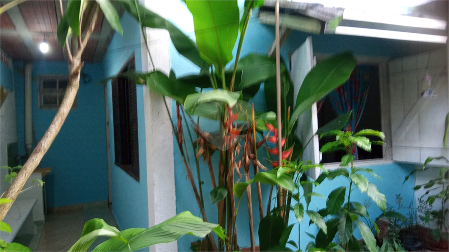 Foto REO1111267