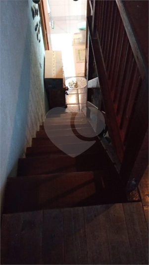 Foto REO1111267