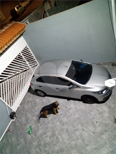 Foto REO1111280