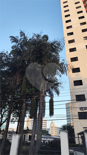 Foto REO1111288