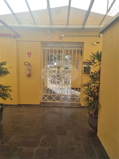 Foto REO1111321